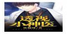 至尊透视小神医混沌仙医