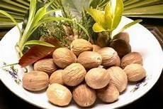 小豆蔻txt电子书下载