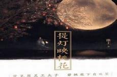 提灯映桃花无删减txt