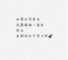 等风也等你纪淮全文阅读