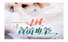 半吟小说百度云