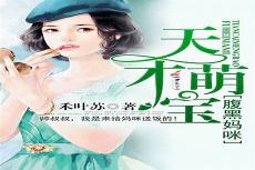 天才儿子腹黑娘亲云溪