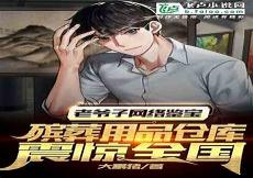 都市捡宝小能手txttxt下载